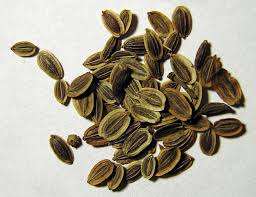 Juego de difusores de aromaterapia personalizados Top 6 Premium 100% Extracto de hierbas puro de grado alimenticio que incluye el último tambor esencial Top 6 - Product Image 3