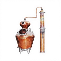 DYE 50L Aangepaste Distilleerapparatuur voor Fruitgebaseerde Geesten - Perfect voor Boomgaard- en Fruitboerderijdistilleerderijen