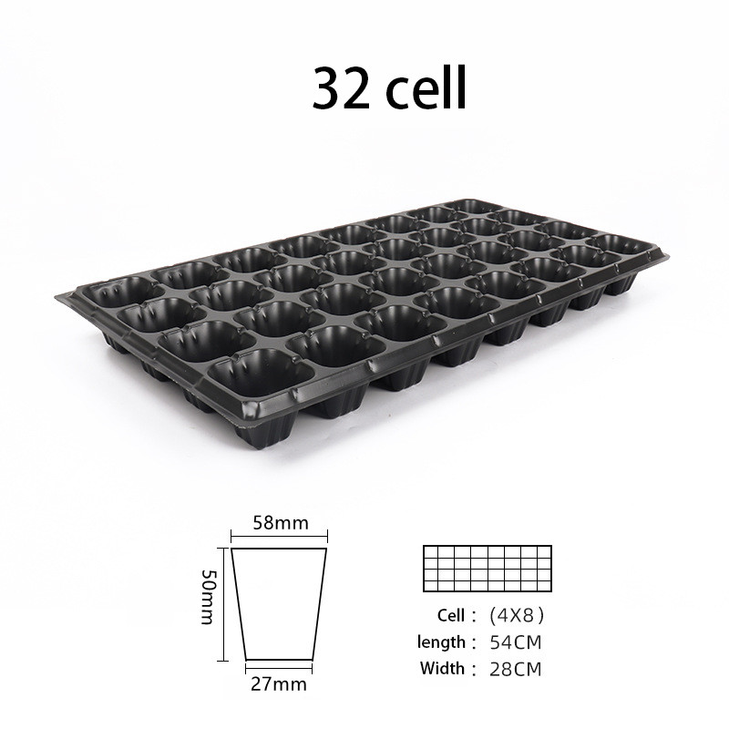 Black 32 cells