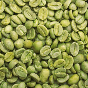 Muestra gratis de café verde Robusta de alta calidad del fabricante de Vietnam - Product Image 6