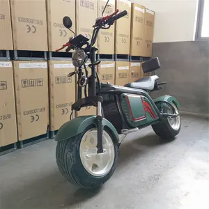 Gros pneu 2 roues Scooter électrique 3000W moto voiturette de Golf avec support de boîte de refroidissement adulte 18 trous terrain de Golf Scooter Club de Golf