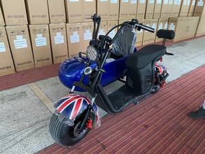 มอเตอร์ไซค์3ล้อสกูตเตอร์1000W 2000W ES1003Plus ES1003Plus - Product Image 5