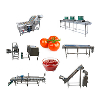 Machine de sauce tomate à haute productivité/ligne de production de concentré de tomate/machine faisant de la pâte de tomate