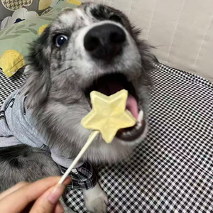 Proveedor OEM certificado FDA/CFIA: bocadillos para perros con alta proteína Freeze-dried sabores variados y personalizados. - Product Image 5