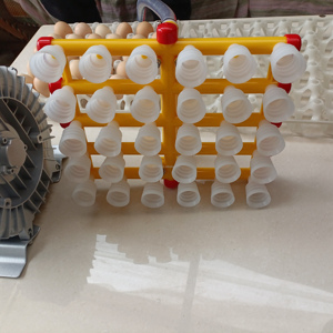 Système <span class=keywords><strong>de</strong></span> transfert automatique d'oeufs Table <span class=keywords><strong>de</strong></span> mirage d'oeufs et machine <span class=keywords><strong>de</strong></span> transfert Élévateur d'oeufs en acier inoxydable 304 - Product Image 5