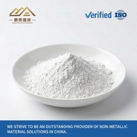 Carbonate de Calcium Calciné de Haute Pureté 1000 Mesh PCC Cendres Denses pour Revêtement PVC Fabriqué en Chine