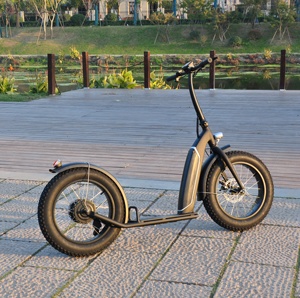 potencia para compartir el precio de China, neumático gordo Electro, rueda ancha, patinete eléctrico plegable para adultos - Product Image 1