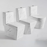 WC en céramique monobloc populaire, cuvette de toilette en porcelaine pour salle de bain