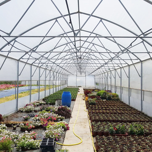 30X10 Meter Gegalvaniseerd Stalen Frame Pe Film Kas Landbouw Enkele Overspanning Tunnel Kas - Product Image 3