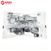 Charnières de meubles de cuisine sur mesure en acier inoxydable, charnières hydrauliques pour armoires, charnières durables à fermeture douce et silencieuse