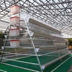 Cage à poulets automatique pour élevage <span class=keywords><strong>de</strong></span> volailles, cage à poulets pliable pour l'élevage d'oiseaux, cage à œufs pour animaux, poulailler commercial - Product Image 3