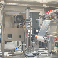 Machine automatique de remplissage et de scellage de boîtes de tofu avec moteur et engrenage, haute précision, haute productivité pour les boissons, l'eau pure, le lait
