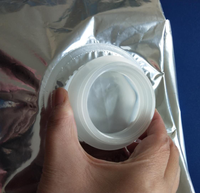 Sacs aseptiques IBC de haute qualité de 1000 litres avec valve pour le stockage du lait, certifiés ISO9001