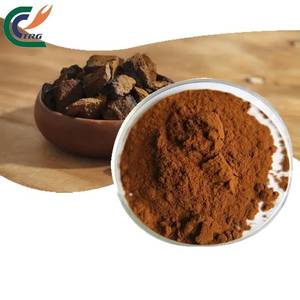 天然30% 60% 有機チャガマッシュルームエキスパウダーを供給 - Product Image 1