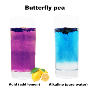 Té orgánico OEM con sabor a hierbas para la salud, té de burbujas heladas, té de flores de guisante de mariposa <span class=keywords><strong>azul</strong></span> seco - Product Image 5