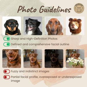 Support photo personnalisé en acrylique PET OEM/ODM pour animaux de compagnie – Souvenir unique pour chat et <span class=keywords><strong>chien</strong></span> - Product Image 3