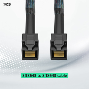 Mini SAS HD SFF 8643 to SFF 8643 Server Data Connection Cable for RAID Controller HBA HDD <strong>SSD</strong> Storage 0.5M 1M - Product Image 3
