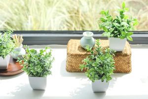 Der Rose Lot de 4 mini-plantes artificielles en eucalyptus en plastique, vertes, en pot, 2,56 pouces, respectueuses de l'environnement, décoration intérieure - Product Image 6