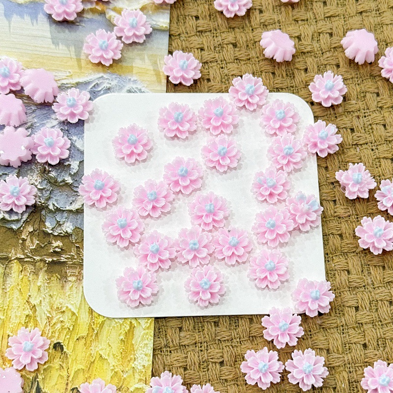 ดอกชบาสองสี 11 มม. - ชมพูและฟ้า