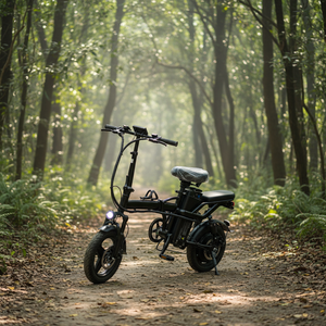 Hot <strong>Sale</strong> Electric <strong>Folding</strong> <strong>Bike</strong> Driving Electric <strong>Bike</strong> Adult Electric Bicycle - Product Image 4