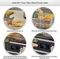 Food Dehydrator Mini Food Droger Machine Met Instelbare Temperatuurregeling Voor Gedroogde Groenten Vlees