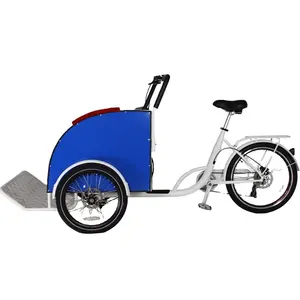 3-Rad-Fahrrad, ältere Menschen Neues E-Trike Electric Pedicab Dreirad Elektro roller Dreirad mit Dach