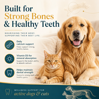 Complément alimentaire pour chiens et chats, soutien osseux, comprimés à mâcher doux, calcium K2 vitamine D3, renforcement buccal, prix d'usine, OEM ODM