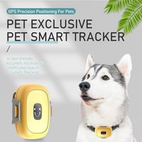 4G GPS AGPS LBS Moniteur d'activité étanche en plastique pour animaux de compagnie avec WiFi pour chiens 12 mois d'autonomie de la batterie