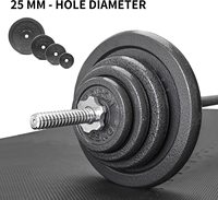 PROIRON-placas de parachoques, equipo de gimnasio, calidad, ejercicio de Fitness, placas de peso de hierro fundido sólido, discos de pesas, 2x5KG