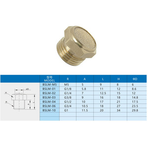 ตัวเก็บเสียงลม Xingyi Technology รุ่น BSLM M5 01 02 03 04 06 10 วาล์วลดเสียงทองแดง อุปกรณ์เสริม - Product Image 1