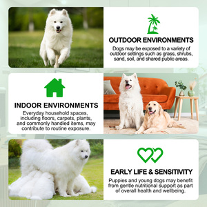 Oimmal Oem Complément Alimentaire Naturel pour Animaux de Compagnie, Friandises à Mâcher <span class=keywords><strong>Anti</strong></span>-<span class=keywords><strong>Puces</strong></span> <span class=keywords><strong>et</strong></span> <span class=keywords><strong>Tiques</strong></span> pour Chiens, Levure de Bière, Vitamines B12 B6, Soin de la Peau - Product Image 5