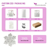 Applique brodée en strass transparent en forme de feuille pour vêtements et sacs DIY, style naturel, faite à la main, lavable, en plastique et verre