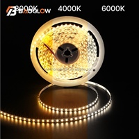 Tira de LED Personalizable de 120 LED/M, 5mm, DC 12V/24V, 2835