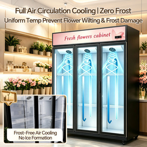 Refrigerador/Exhibidor de Flores Transparente BoJin Sin Escarcha de 2/3 <span class=keywords><strong>Puertas</strong></span> para Floristería - Gabinete Comercial Sin Drenaje - Product Image 3