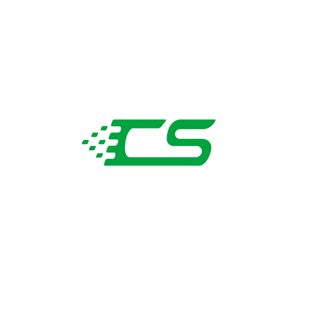 Changsong Electric Co., Ltd.