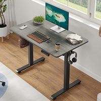 Bureau de Gamer Électrique en Bois à Hauteur Réglable avec Moteur Simple ou Double pour le Bureau
