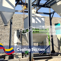 Ligne de fabrication de granulés d'aliments pour animaux RICHI Venezuela - Usine complète de granulation d'aliments pour porcs, poulets, bovins, personnalisable 1-100t/h