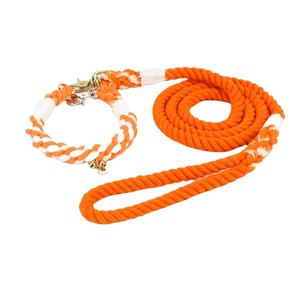 Collier en coton personnalisé, robuste, confortable, pour chien, disponible dans plusieurs couleurs, vente en gros, laisse pour animaux de compagnie - Product Image 2