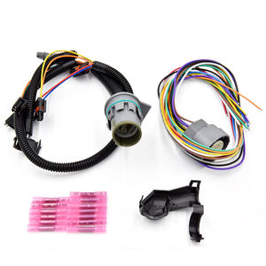 24200161 Arnés de Cableado Interno y Externo Derecho para Chevrolet GMC - Product Image 2