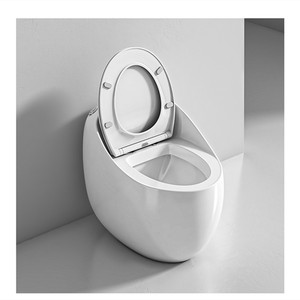 <span class=keywords><strong>WC</strong></span> sifonico di piccole <span class=keywords><strong>dimensioni</strong></span> a forma di uovo di piccole <span class=keywords><strong>dimensioni</strong></span>, personalizzato e creativo all'ingrosso della fabbrica - Product Image 1