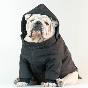 Vêtements assortis pour chien et propriétaire, vestes respirantes pour chien, veste de pluie pour chien de luxe, coupe décontractée, imperméable - Product Image 5