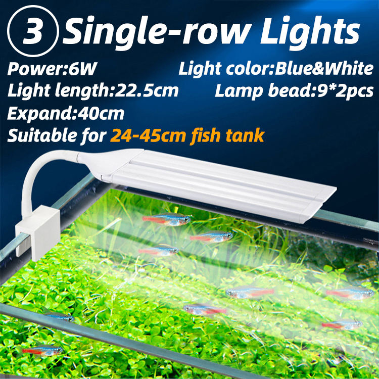 6W-Lumières bleues et blanches à une rangée