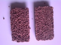 Machine alimentaire automatique à extrusion à vis en acier inoxydable pour céréales, prix abordable, 40 pièces/min
