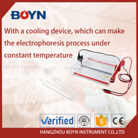 Sistema de electroforesis en gel de laboratorio, tanque de electroforesis horizontal,