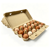 Boîte d'emballage pour œufs jetable, biodégradable, recyclable, respectueuse de l'environnement, avec 18 œufs, antichoc