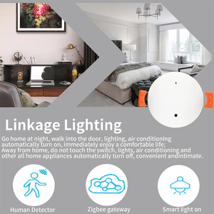 Zigbee Wifi人体存在运动传感器图雅毫米波雷达探测器，亮度支持Zigbee2mqtt家庭助理 - Product Image 6