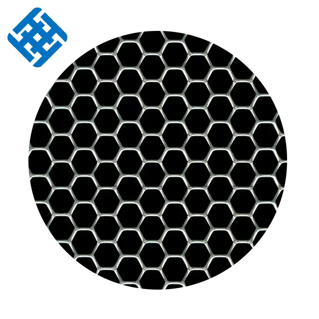 Mesh Speaker Grille Etching Stainless Steel Perforated Metal Filters Rolls or Sheet Plain Weave Galvanized,power Coated Haotong