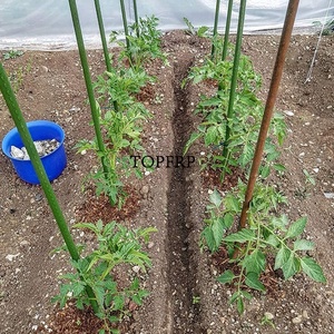 Tiges de plantes robustes en acier recouvert de plastique, piquets de jardin en métal - Product Image 4