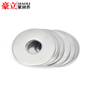 Rondelle plate Haoli en acier inoxydable 304 M2 M2.5 M3 M4 M5 M6 M8 M10 M48 Grade A standard - Product Image 2