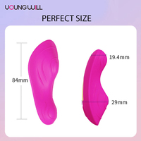 Jouets sexuels portables sans fil Bluetooth avec application pour femmes, stimulateur clitoridien, masseur, culotte vibrante, accessoires pour adultes, USB